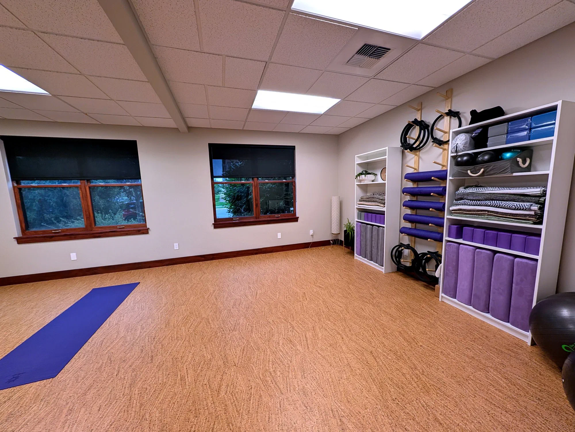 The yoga and mat Pilates studio at Root Therapy and Wellness in Bozeman — cork floor, mats, and natural light