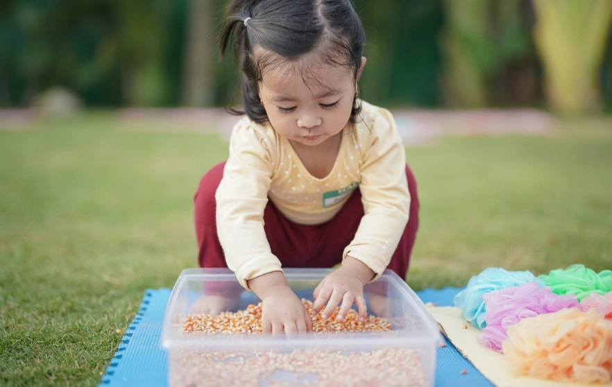 sensory_processing